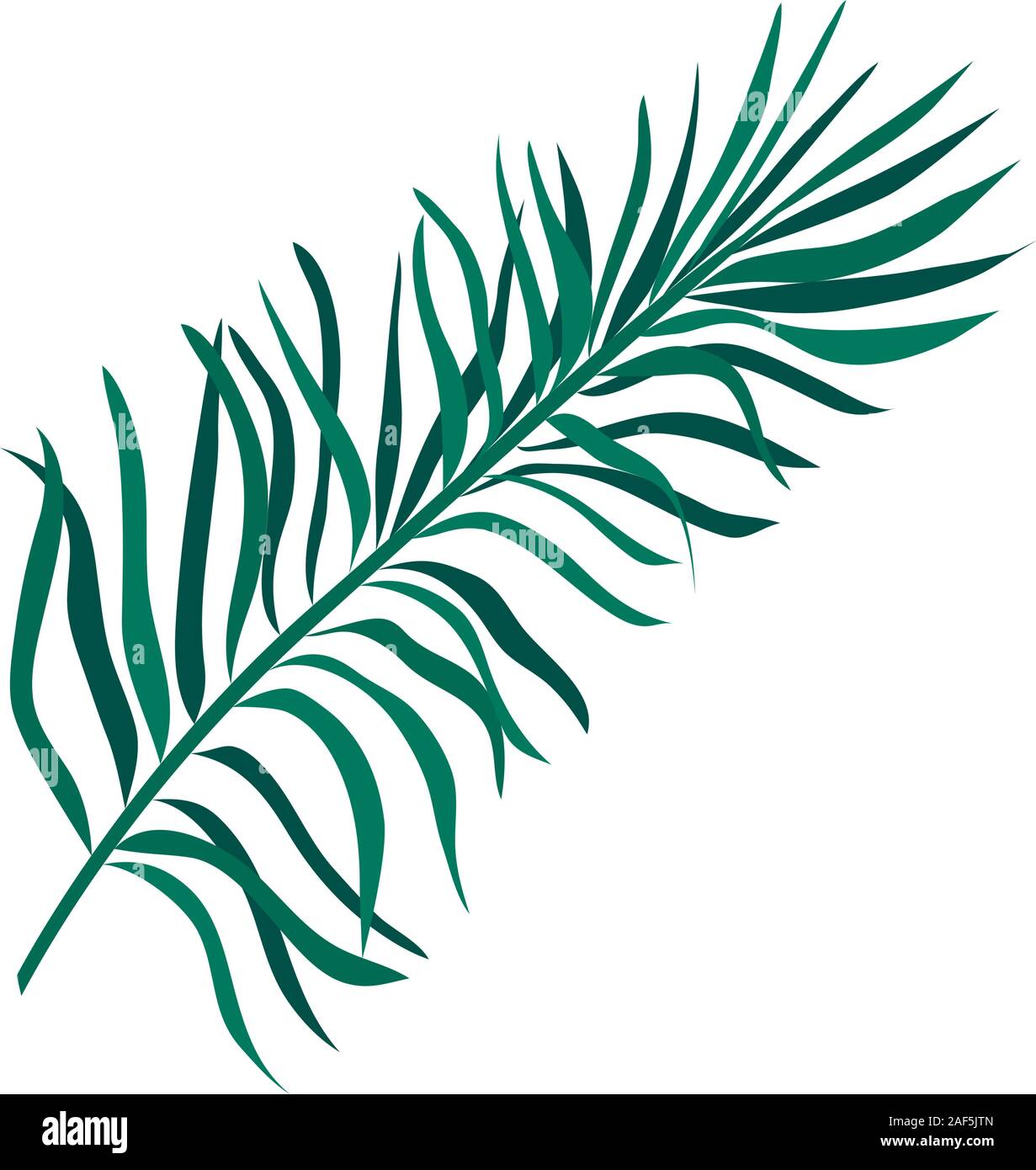 Isolated tropical green leaf vector design Stock Vector Image & Art - Alamy