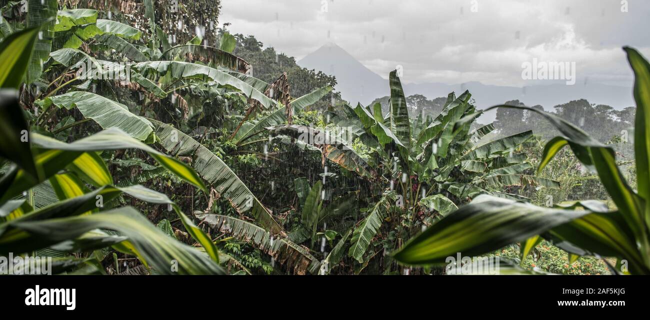 A rainy downpour over the jungle near the Arenal volcano in Costa Rica Stock Photo