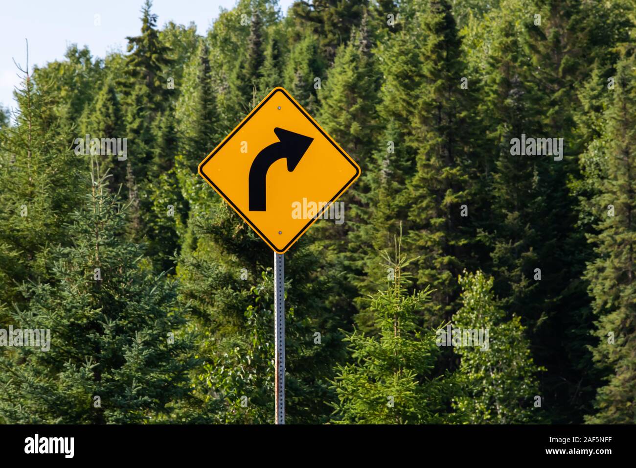 Warning for a curve to the right, Slight bend or curve in the road ahead, Warning  road signs, in selective focus view with forest trees background Stock  Photo - Alamy