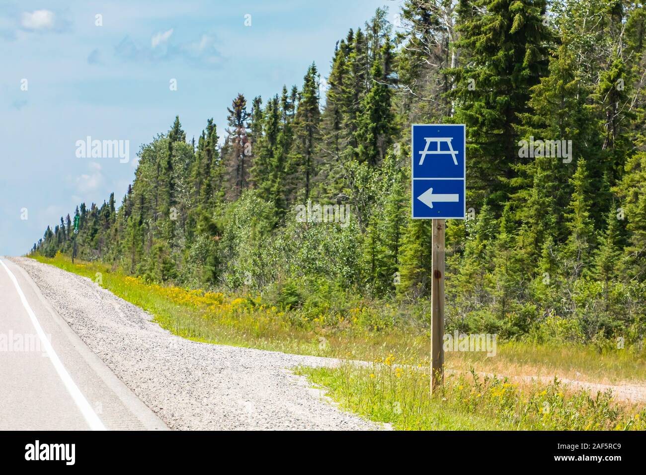 Rest area blue sign with an arrow to left symbol, pine trees forest on