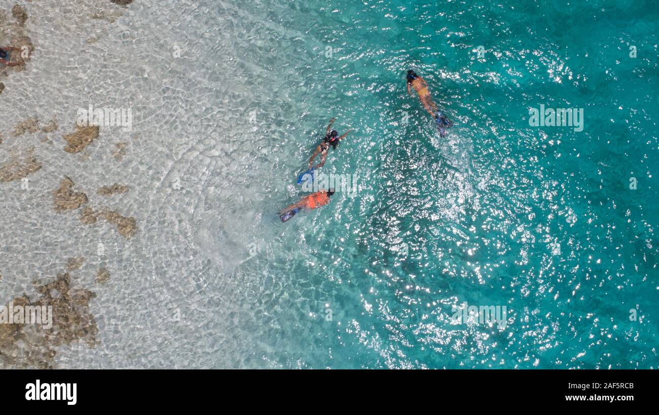 Young girls snorkeling in blue clear waters above coral reef on red sea in los roques venezuela . Travel and lifestyle concept. Top view. Three snorke Stock Photo