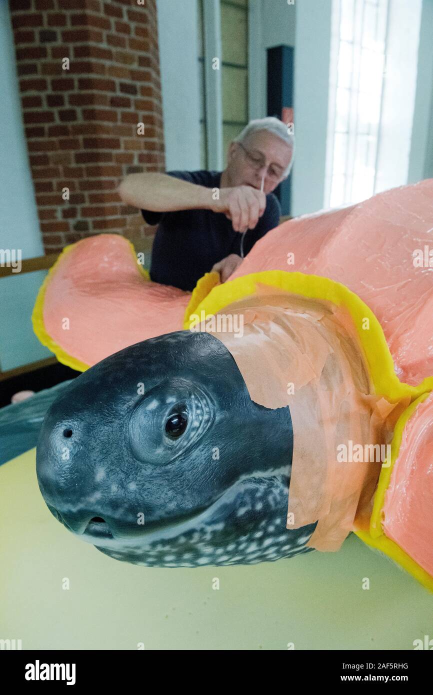 10 December 2019, Mecklenburg-Western Pomerania, Stralsund: Wolfgang Gregor, art founder from Landin (Brandenburg), takes an impression of the prepared leather turtle 'Marlene' for a bronze casting. In 1965 the 2.15 metre long and 450 kilogram heavy female from the Caribbean lost her way into the Baltic Sea. It got entangled in a fish trap five kilometers from Stralsund. A bronze casting of the leatherback turtle will be placed in the new entrance area after the modernization of the Meeresmuseum Stralsund. Photo: Stefan Sauer/dpa-Zentralbild/dpa Stock Photo