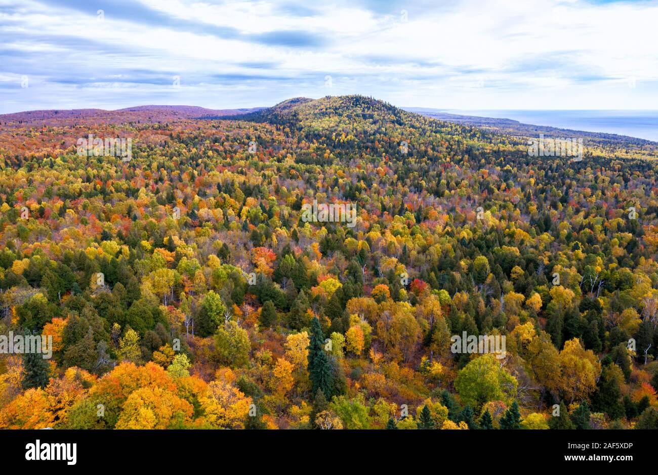 Colorful autumn foliage of Lake Superior National Forest, Minnesota, USA Stock Photo