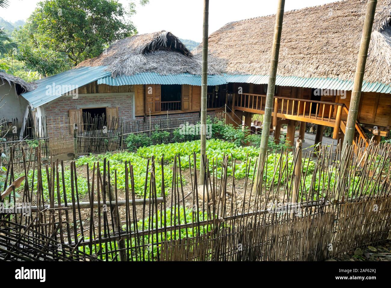 Pu Luong Commune, Thanh Hoa Province, Vietnam - September 30, 2019: Stilt houses of ethnic minorities doing homestay accommodation in Pu Luong Commune Stock Photo