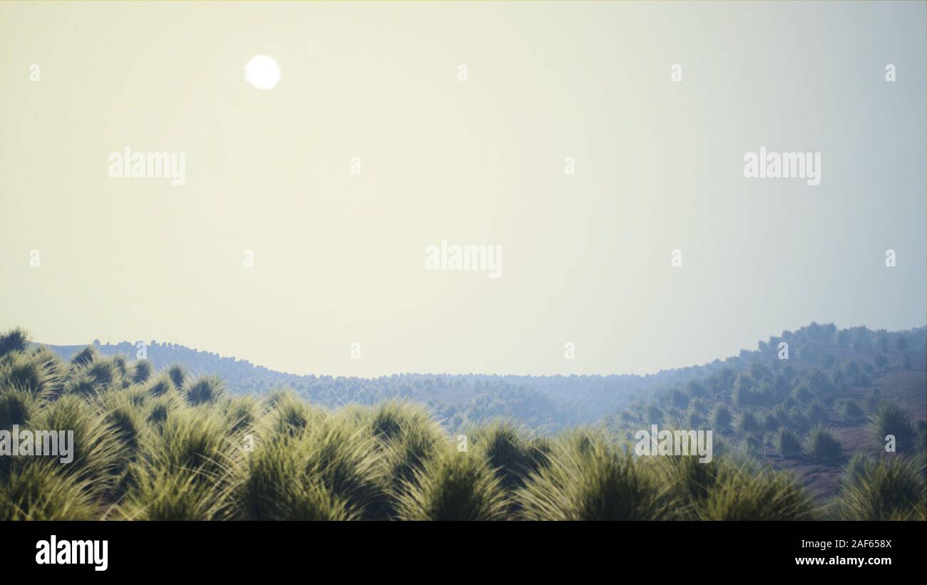 Dry Grassfield Arid Landscape in Strong Morning Haze 3D Illustration Stock Photo