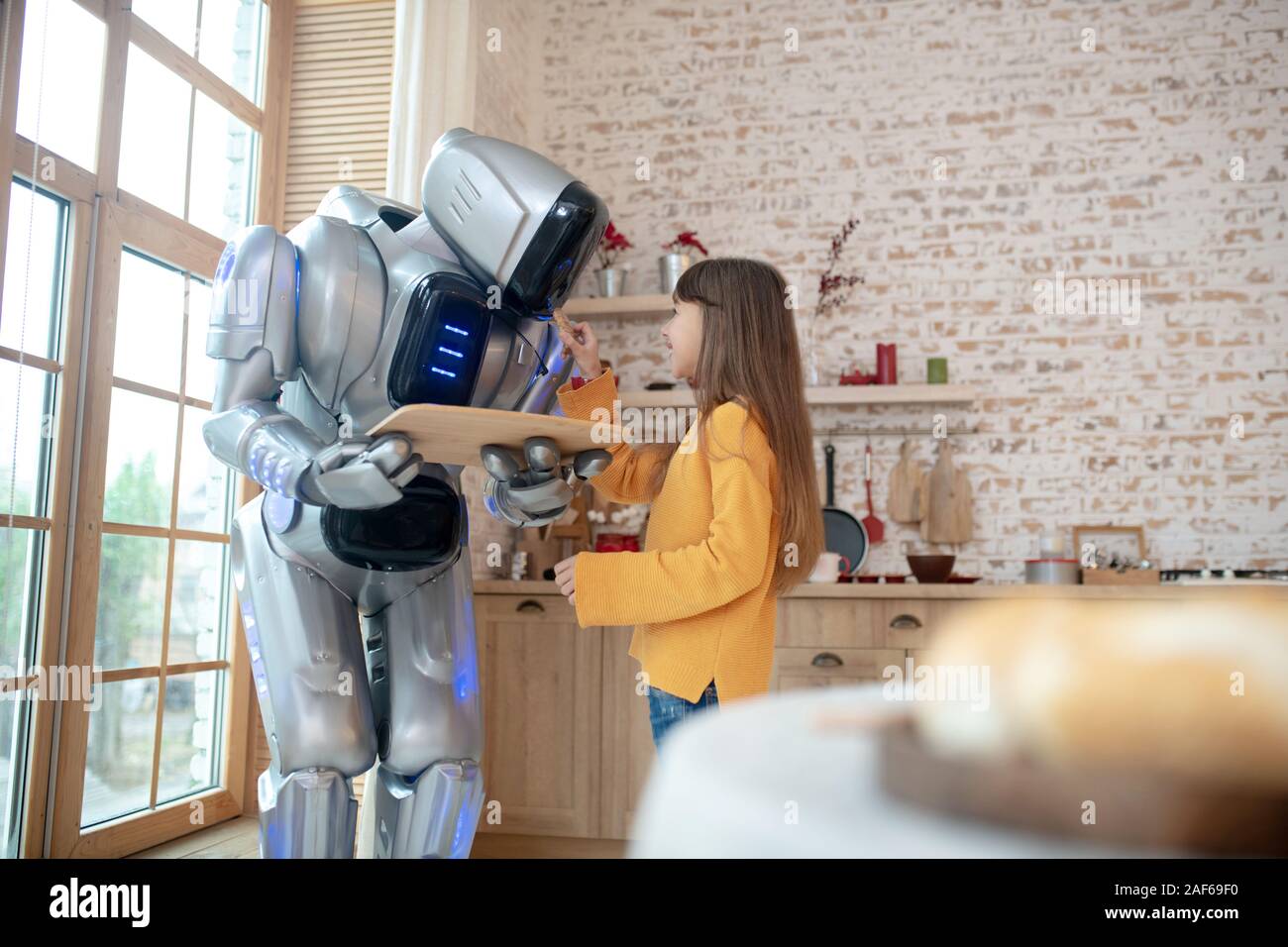 https://c8.alamy.com/comp/2AF69F0/house-robot-holding-a-tray-with-meat-balls-2AF69F0.jpg