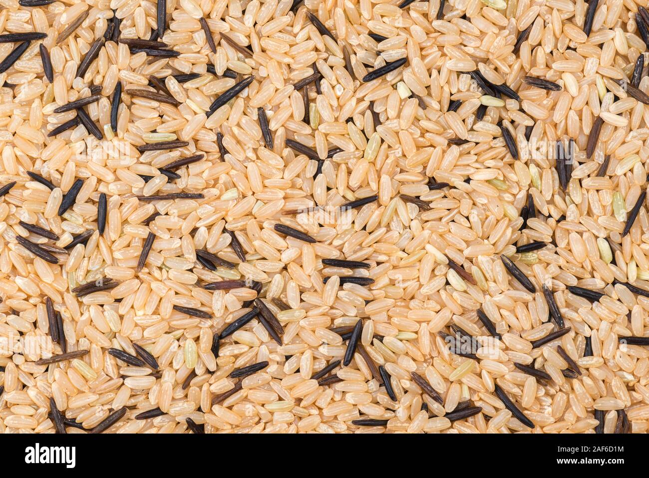 Organic Whole Grain Wild Rice delightful texture background Stock Photo