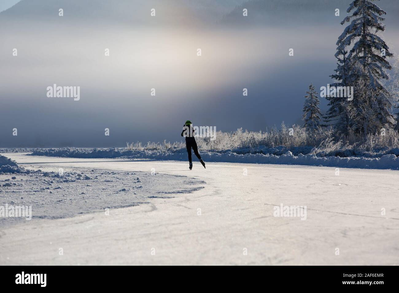 Cold sunny winter morning. A group of frozen trees and a ice skater skate over a frozen lake at sunrise, Lake Weissensee, Carinthia, Alps, Austria Stock Photo