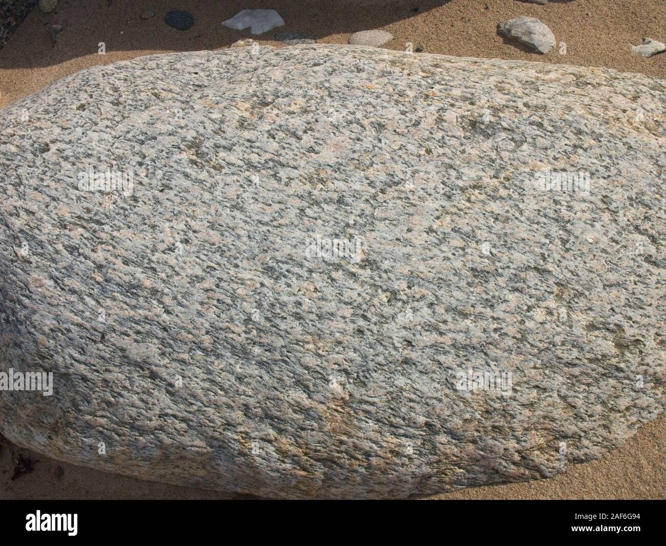 Erratic boulder at the North Coast of Sjaelland, Denmark, near Gilleleje. Stock Photo