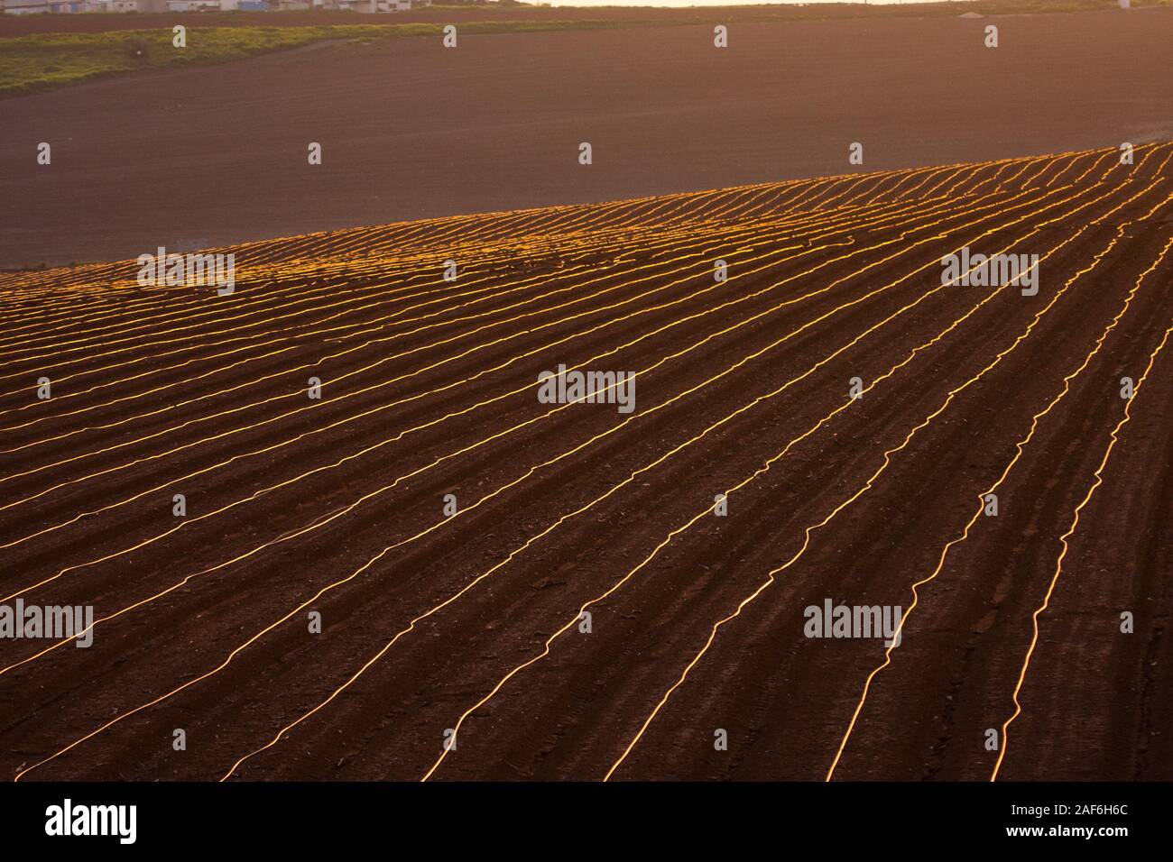 Agricultural field in Jezreel Valley, Israel Stock Photo