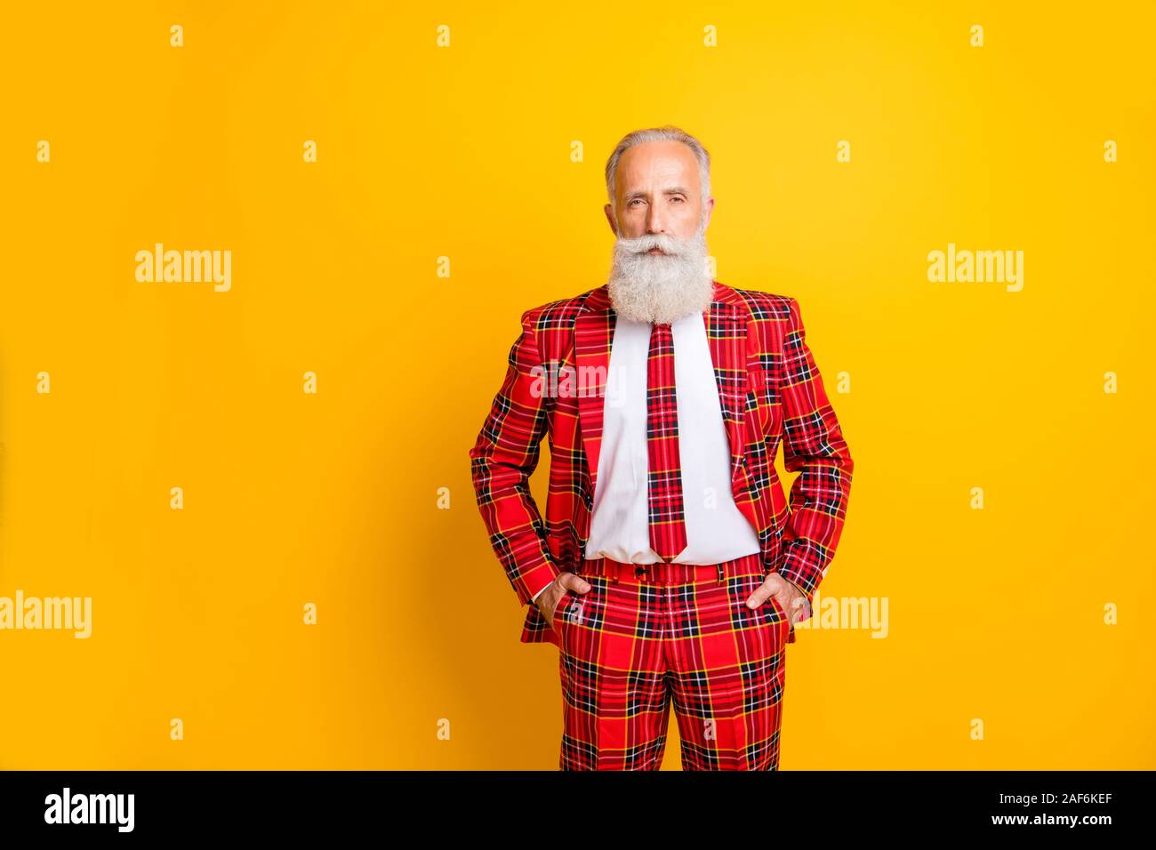 Portrait of his he nice attractive serious content imposing gray-haired man wearing checkered jacket new year christmas isolated over bright vivid Stock Photo