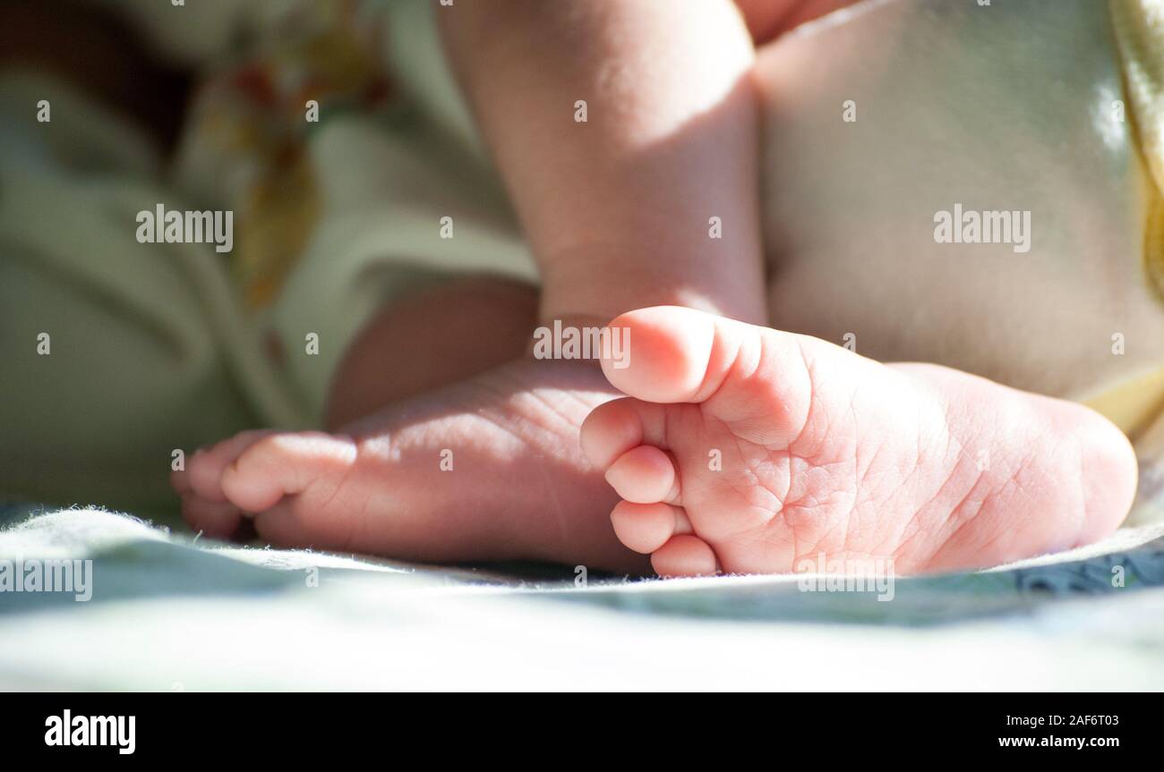 Cute newborn baby feet closeup photo Stock Photo Alamy