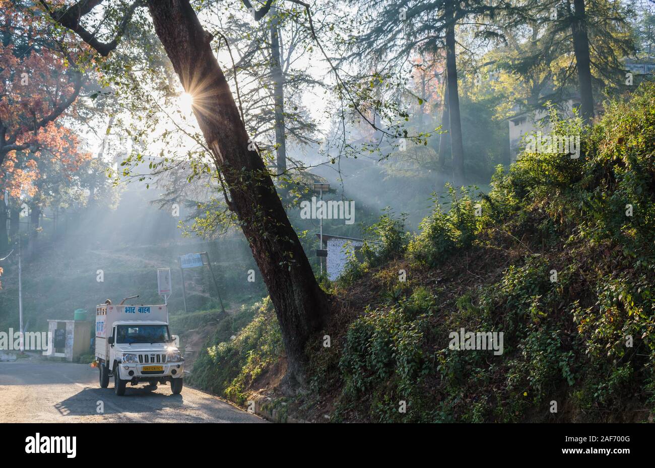 Light shafts scatter around a tree and foliage on a misty morning as a tempo wagon drives through a road that winds through the landscape in Almora. Stock Photo