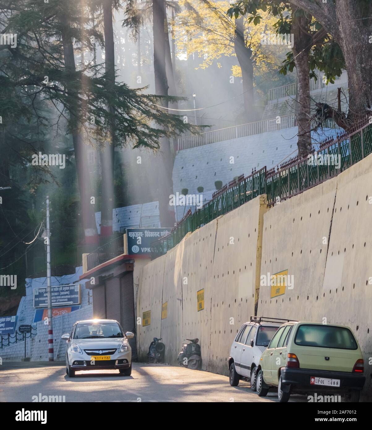 Shafts of light filter through the trees in the early morning hours in the Himalayan town of Almora. A Maruti Suzuki car drives down the road. Stock Photo
