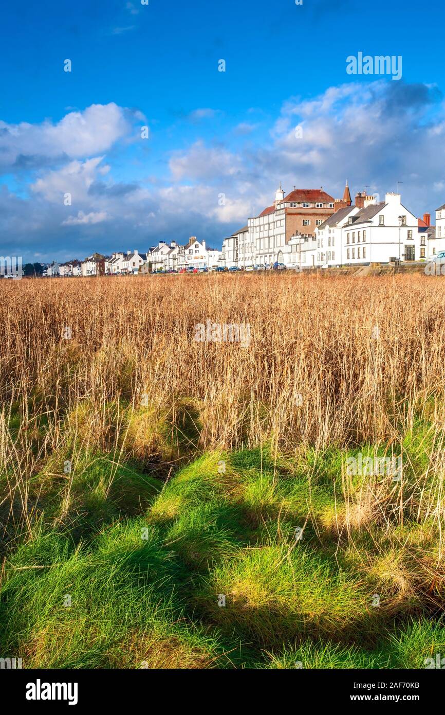 A sunny view across marsh land of Parkgate on the Wirral Peninsula. Stock Photo
