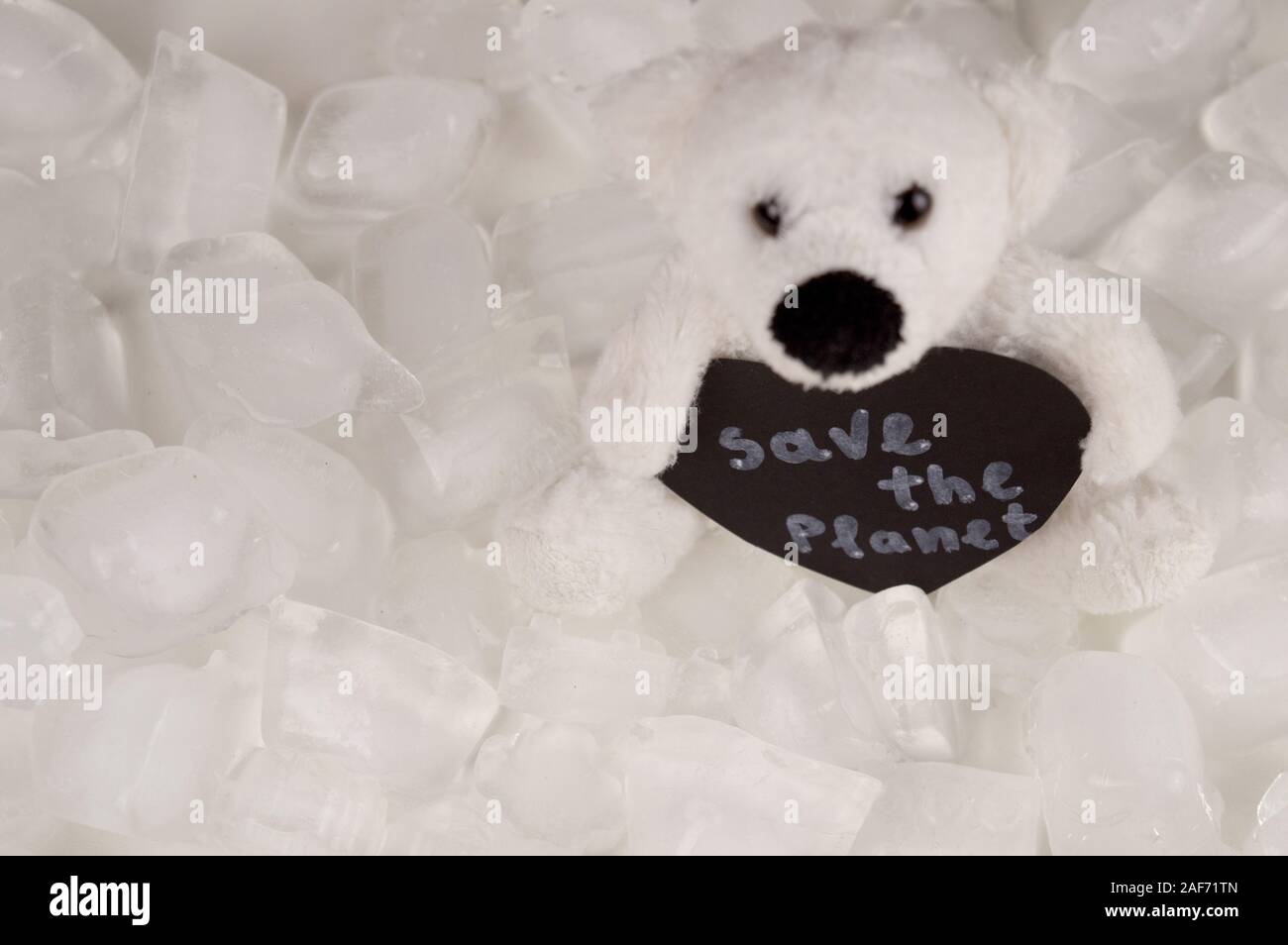 ice teddy bear
