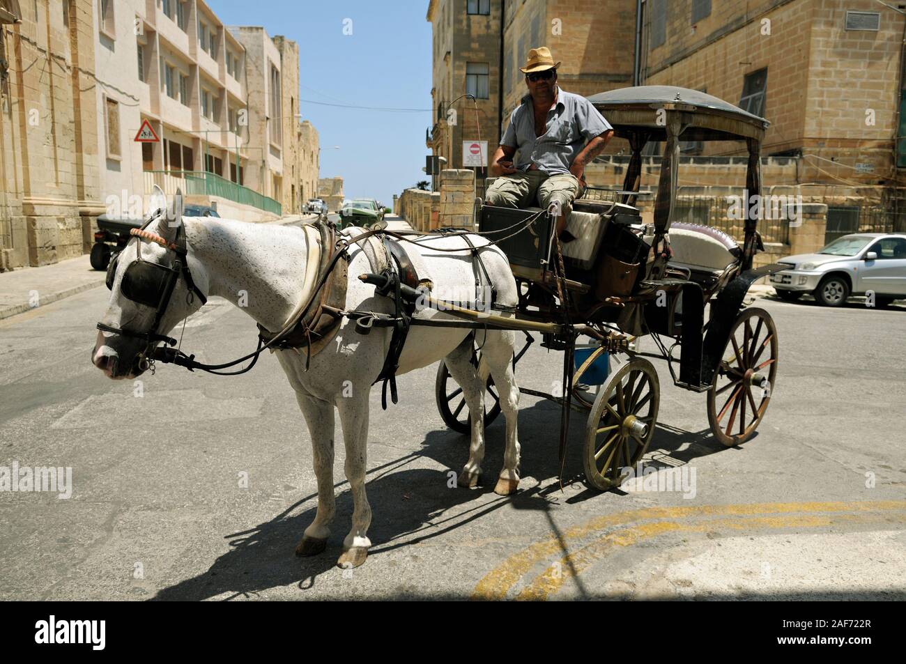 White horse and cart driver in the streets of Valletta, Malta Stock