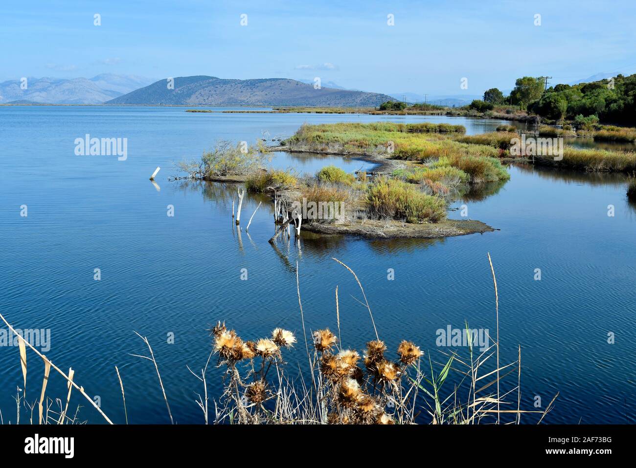 Greece, Epirus, tiny grass islands in Ambracian Gulf aka Gulf of Arta Stock Photo