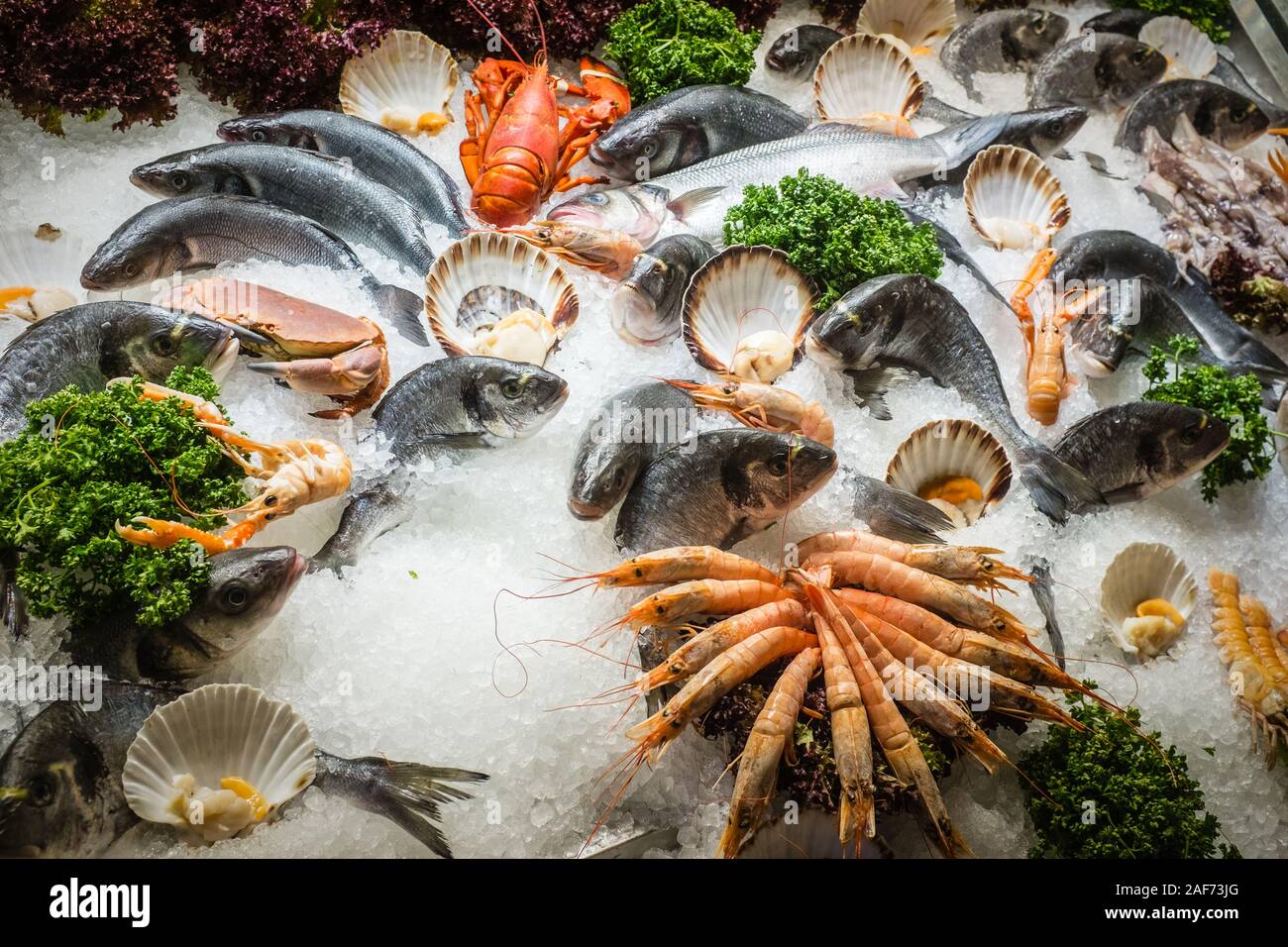 Fish market in Venice, Italy Stock Photo