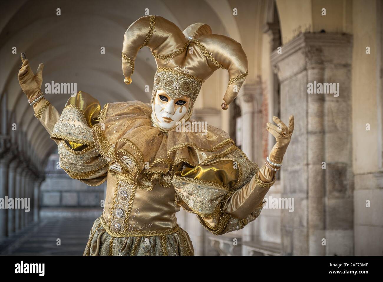 From the Venice Carnival Stock Photo