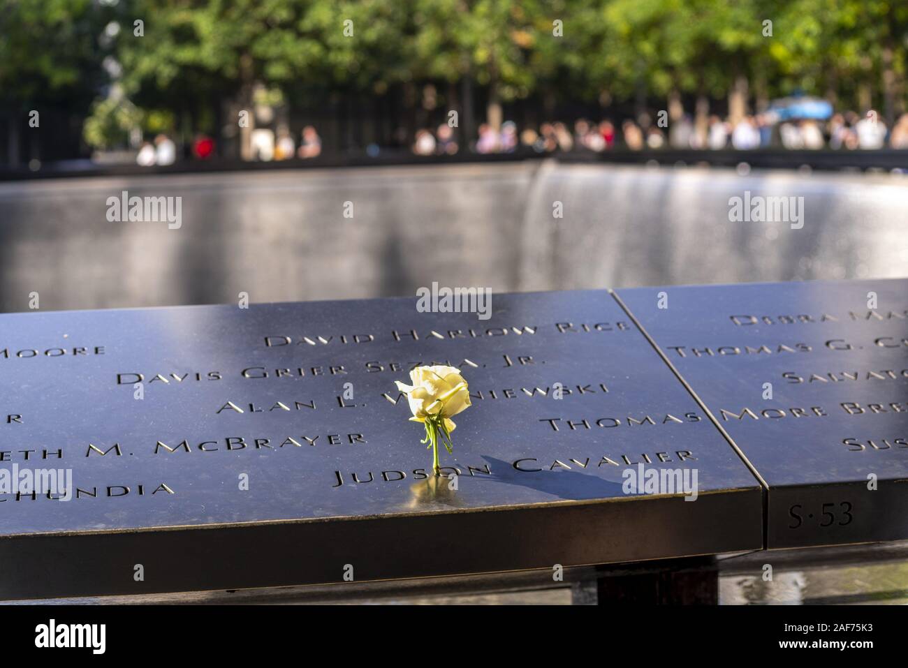 For each birthday of the terror victims of September 11, 2001, an employee of the 9/11 Memorial in New York puts a white rose on the respective name in the copper border of the water basins. Their names are carved into the border. (18 Sept 2019) | usage worldwide Stock Photo