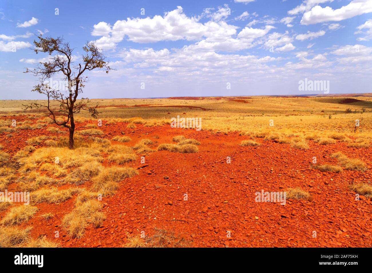 Australian outback landscape, Pilbara, Western Australia  usage 