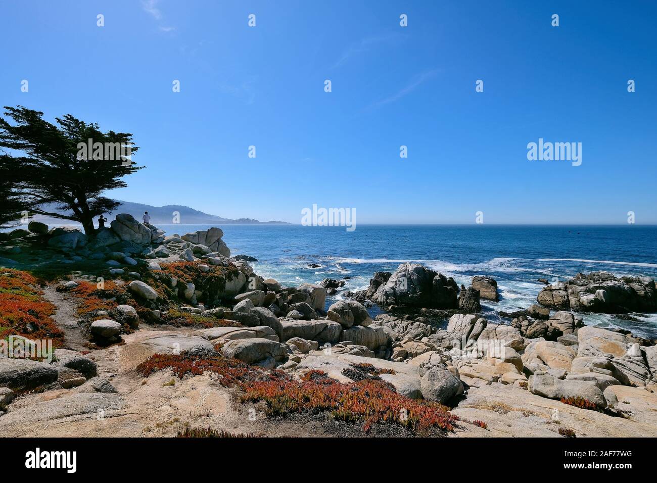 Coast on 17Mile Drive, paid coastal road on the Monterey Peninsula