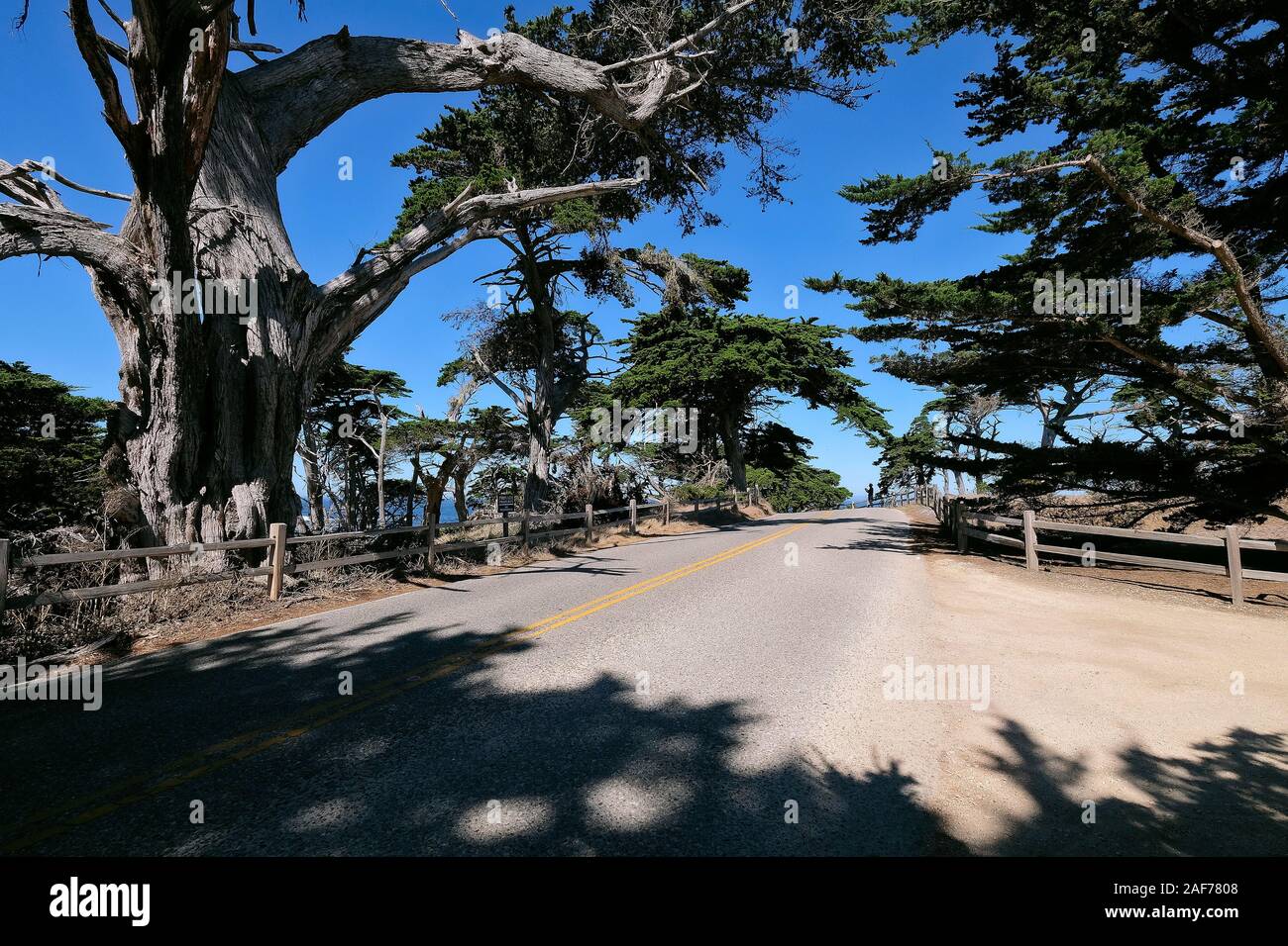 Paid Coastal Route 17Mile Drive on the Monterey Peninsula between