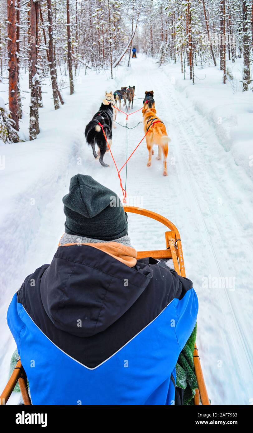 Man riding husky sledge in Lapland in winter Finland reflex Stock Photo ...