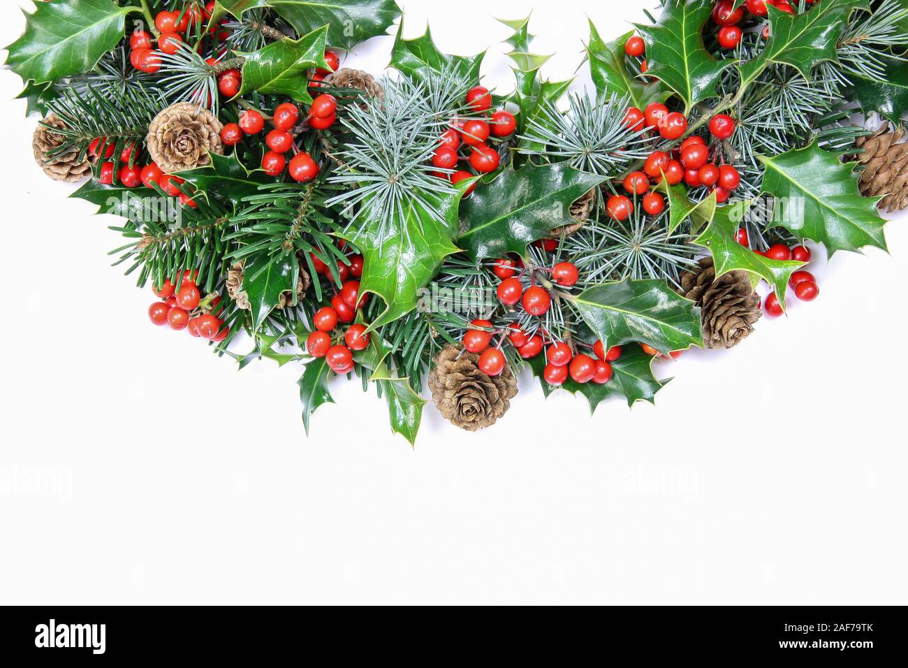 Colourful traditional Christmas wreath  with natural fresh holly to celebrate the holiday season isolated on white with copy space Stock Photo