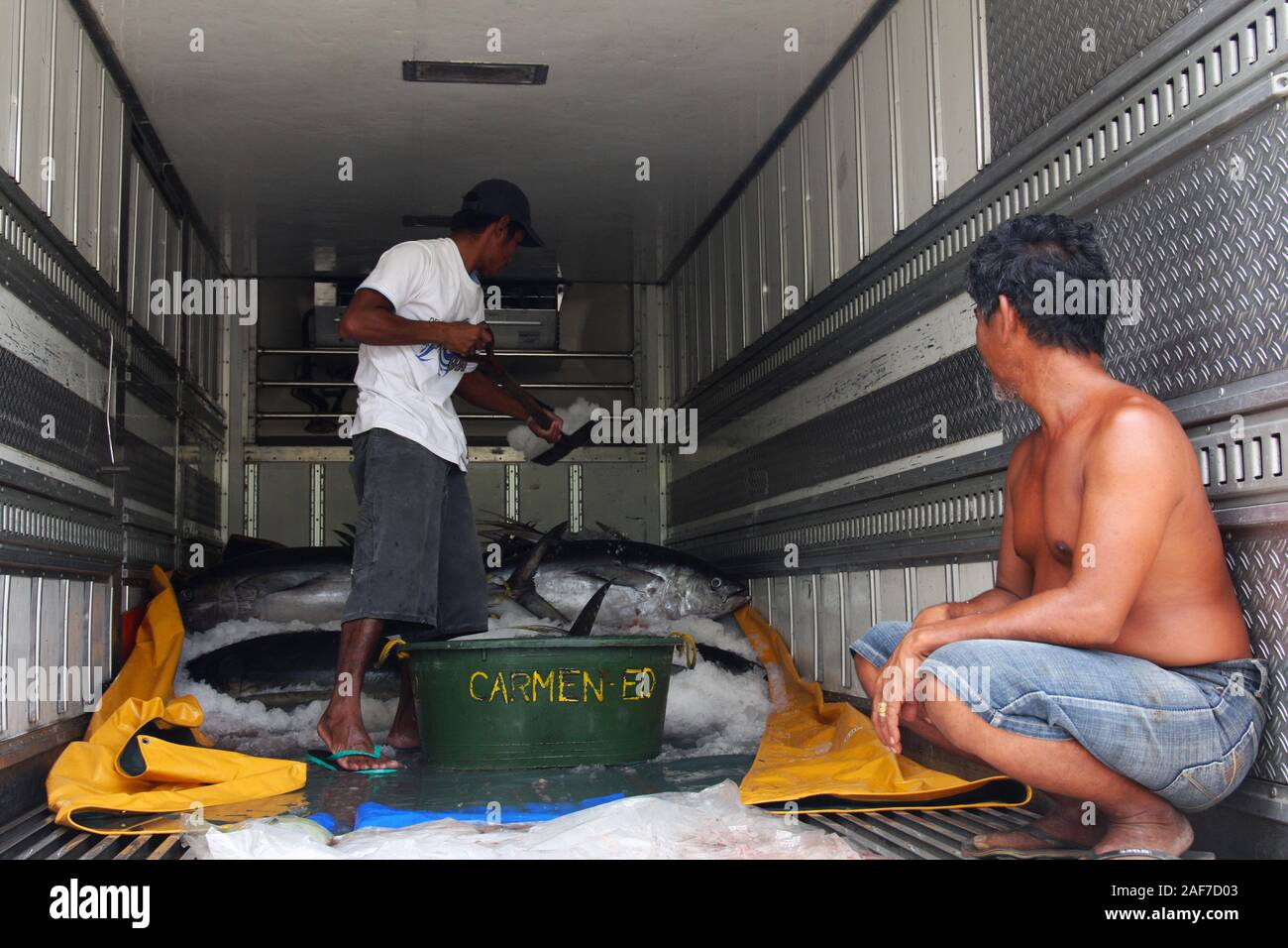 Freshly landed Yellowfin tuna being loaded on trucks for its delivery to the processing plants, Occidental Mindoro, The Philippines Stock Photo