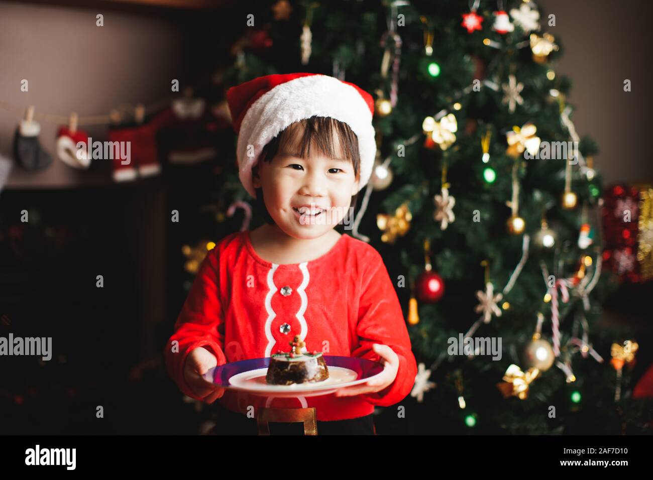 christmas pudding costume child