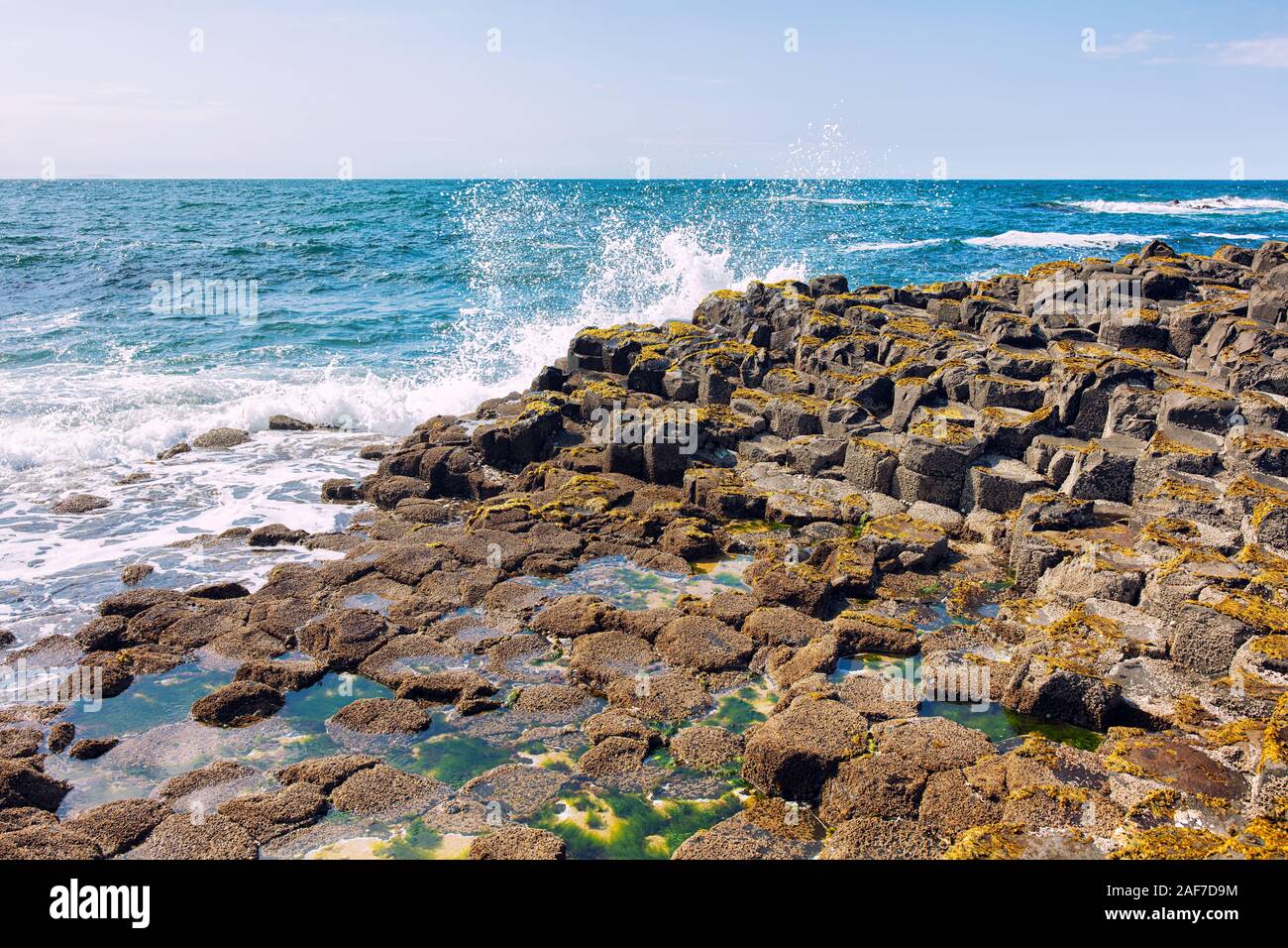 summer giants causeway coastline,Northern Ireland Stock Photo
