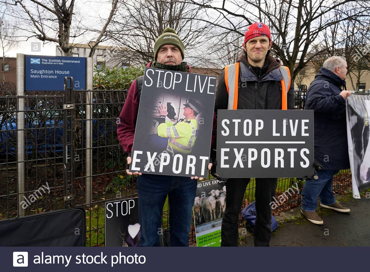 Edinburgh, Scotland, UK. 13th  Dec 2019. Protest against live exports by Scotland for Animals, a grassroots animal charity, whose core aim is to end all exploitation of animals. Scotland is a major player in the live exports industry, Calves just weeks old are taken from their mothers, and sent into the European veal system. Demonstration outside Saughton house a Scottish government building. Credit: Craig Brown/Alamy Live News Stock Photo