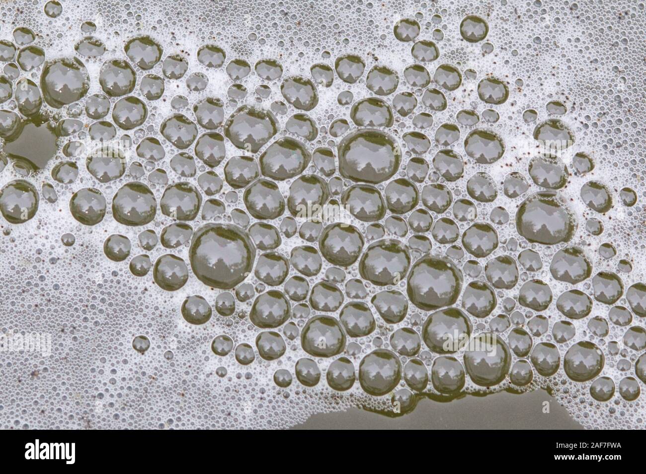 bubble patterns in a pond Stock Photo