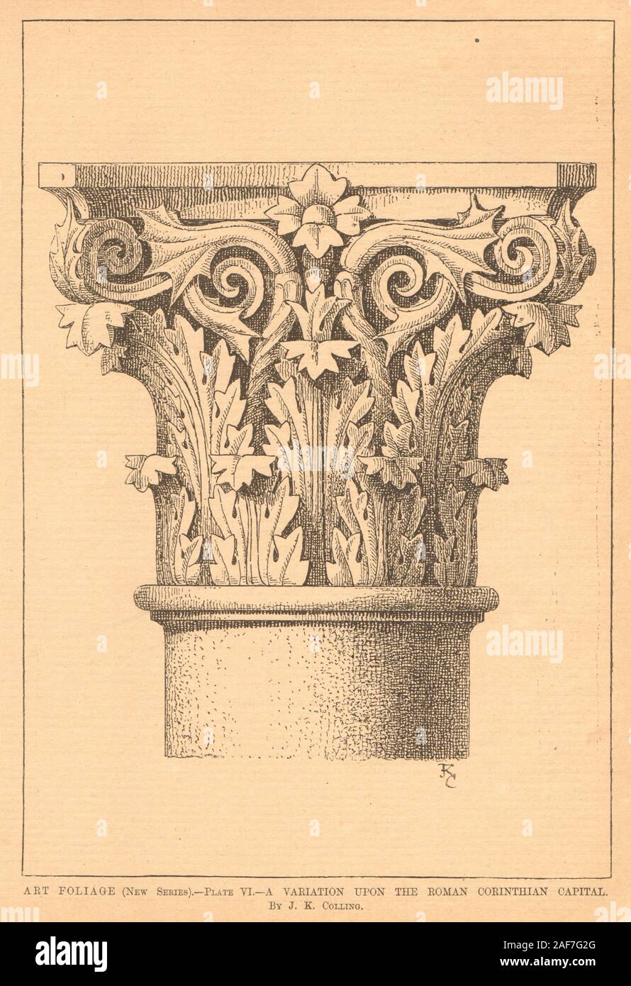 Art Foliage Plate 6. Roman Corinthian capital variation by JK Colling 1901 Stock Photo