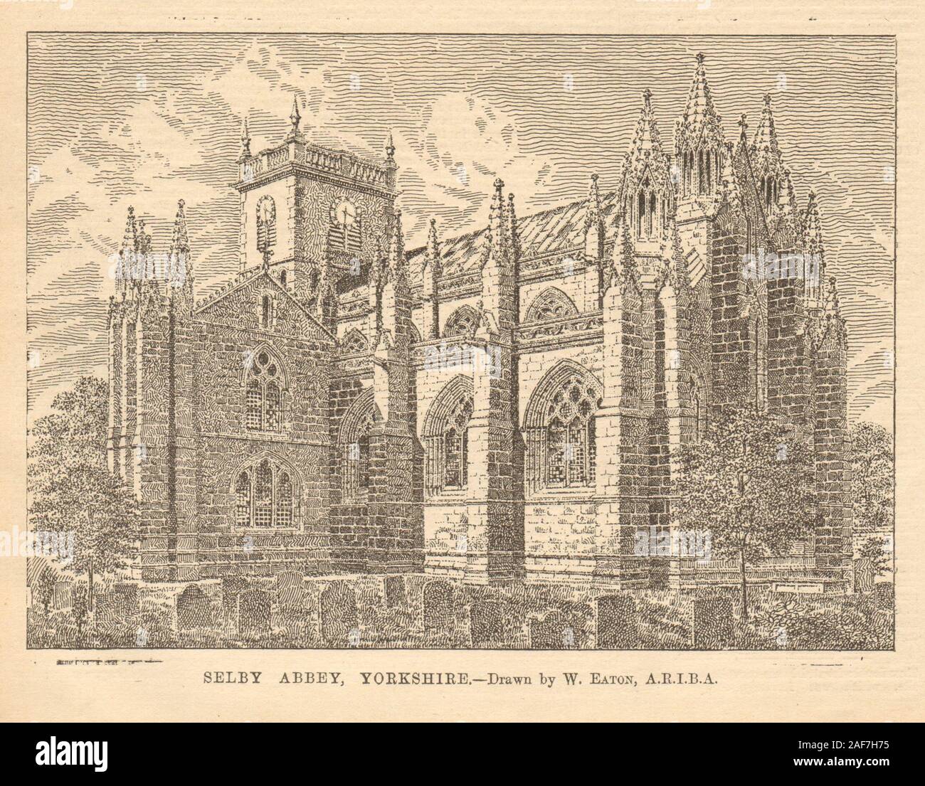 Selby Abbey Yorkshire Drawn By W Eaton A R I B A 1905 Old Antique Print Stock Photo Alamy
