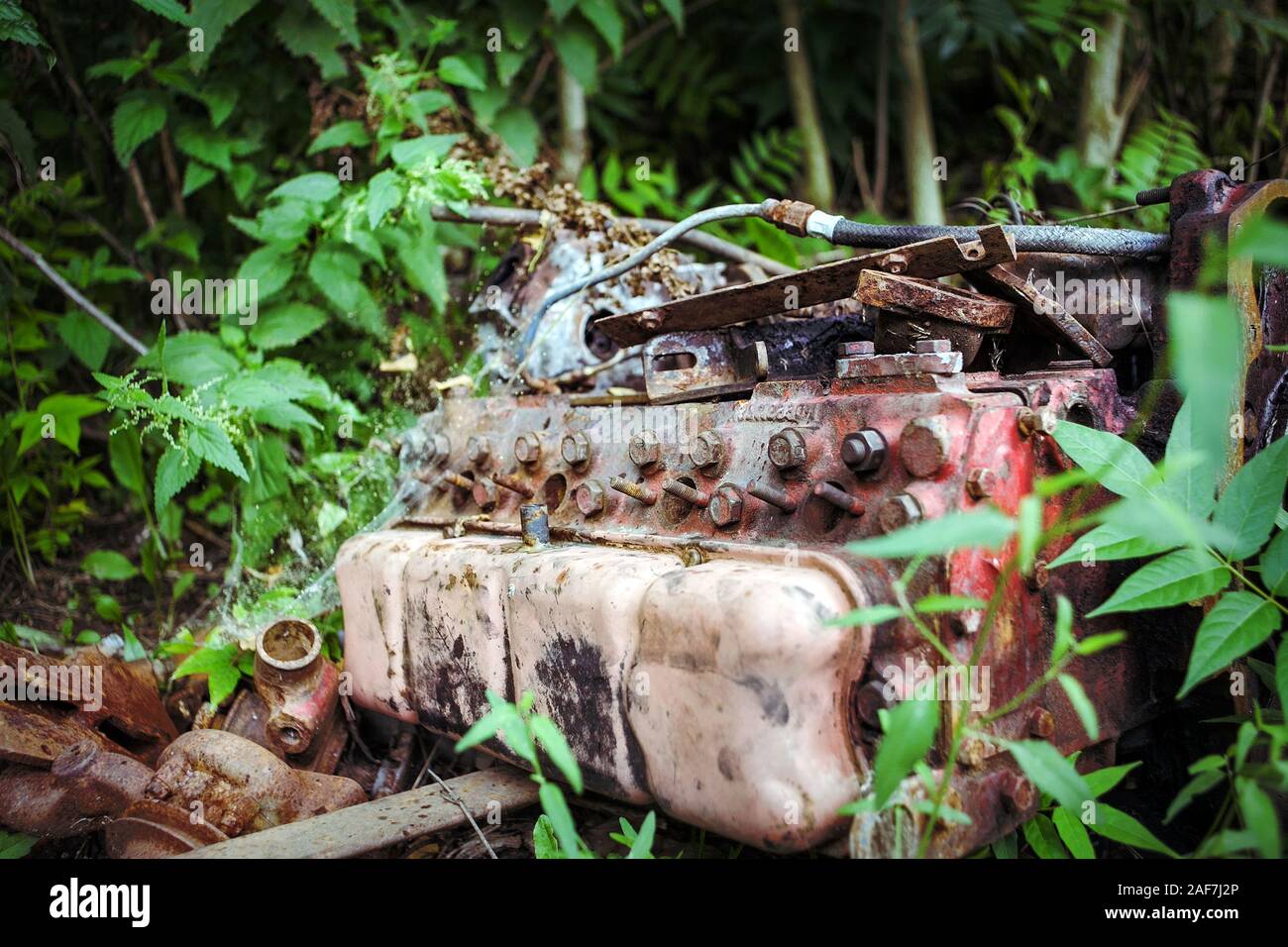 Old and rusty truck engine laying in the forest. Stock Photo