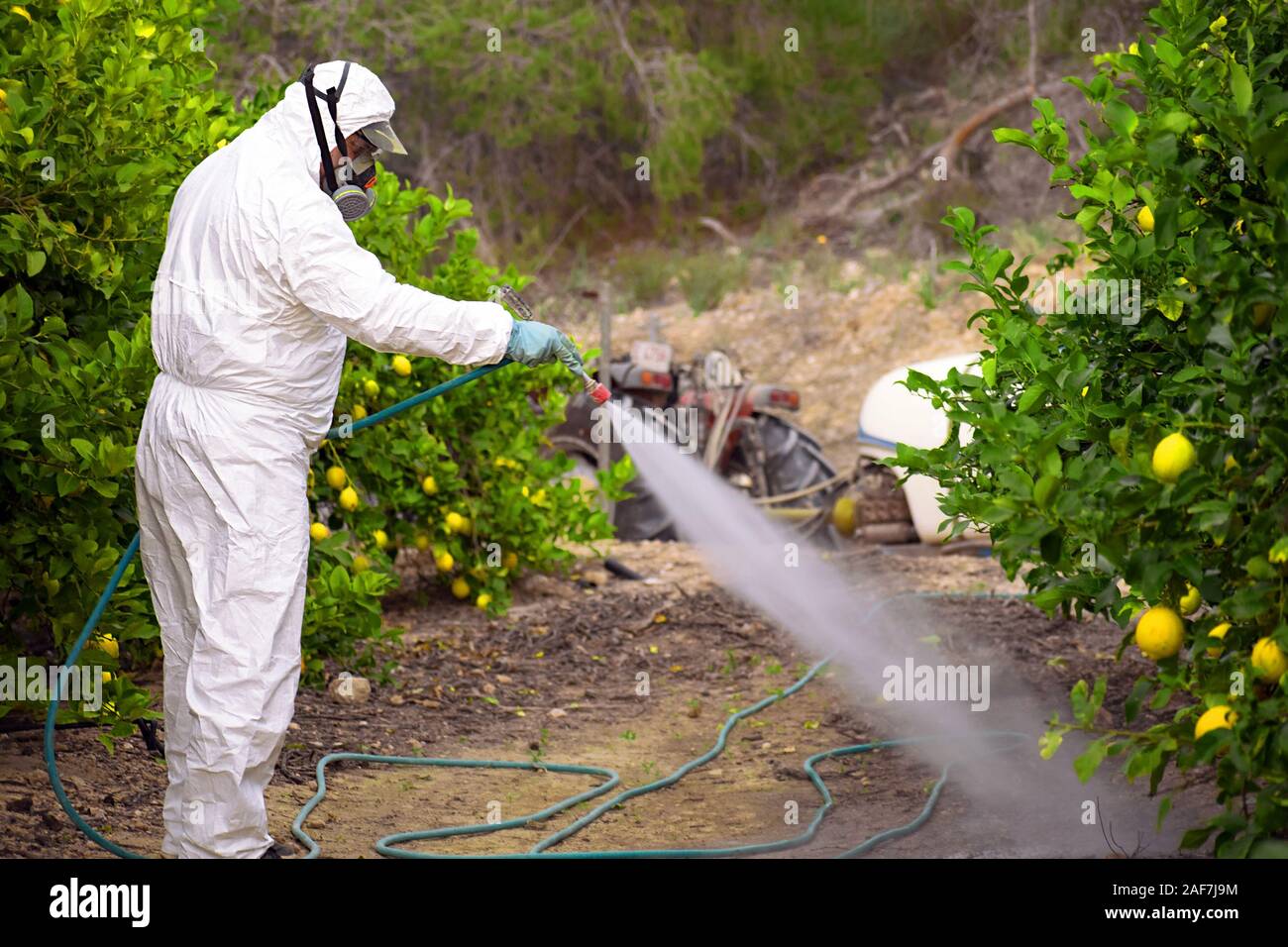 Weed insecticide fumigation. Organic ecological agriculture. Spray