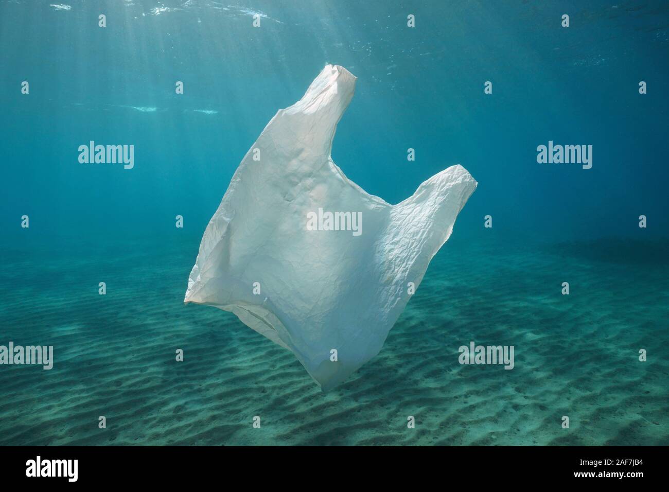A white plastic bag adrift underwater pollution in the ocean Stock Photo