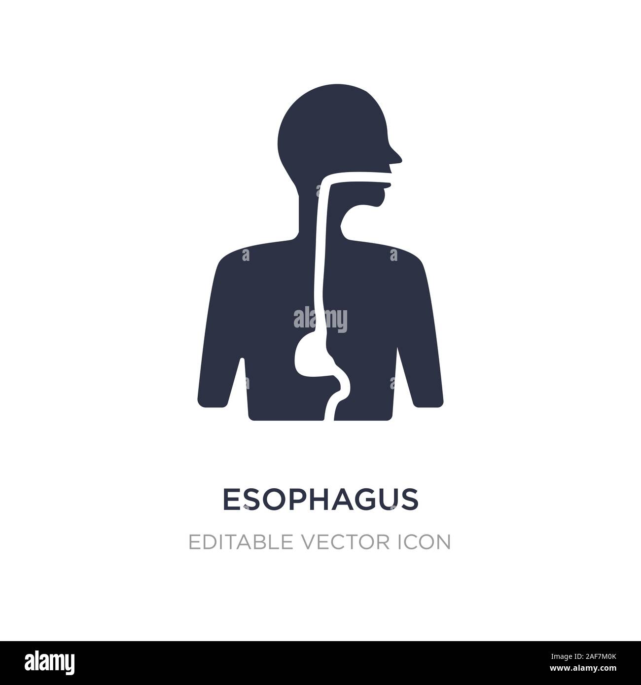 esophagus icon on white background. Simple element illustration from Medical concept. esophagus icon symbol design. Stock Vector