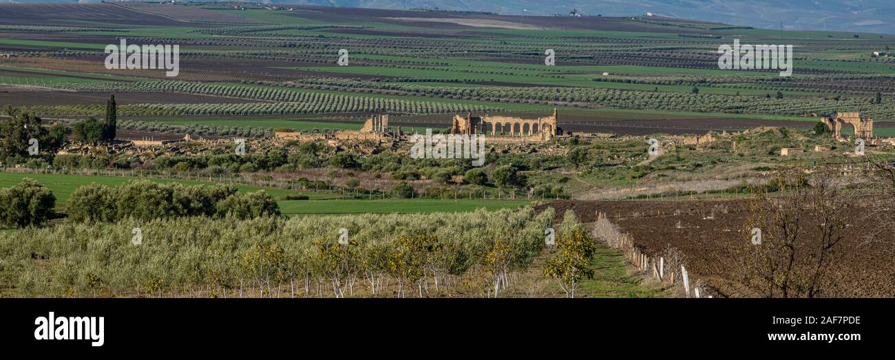The ruins of Volubilis are the most significant remains of the roman influence in Morocco Stock Photo