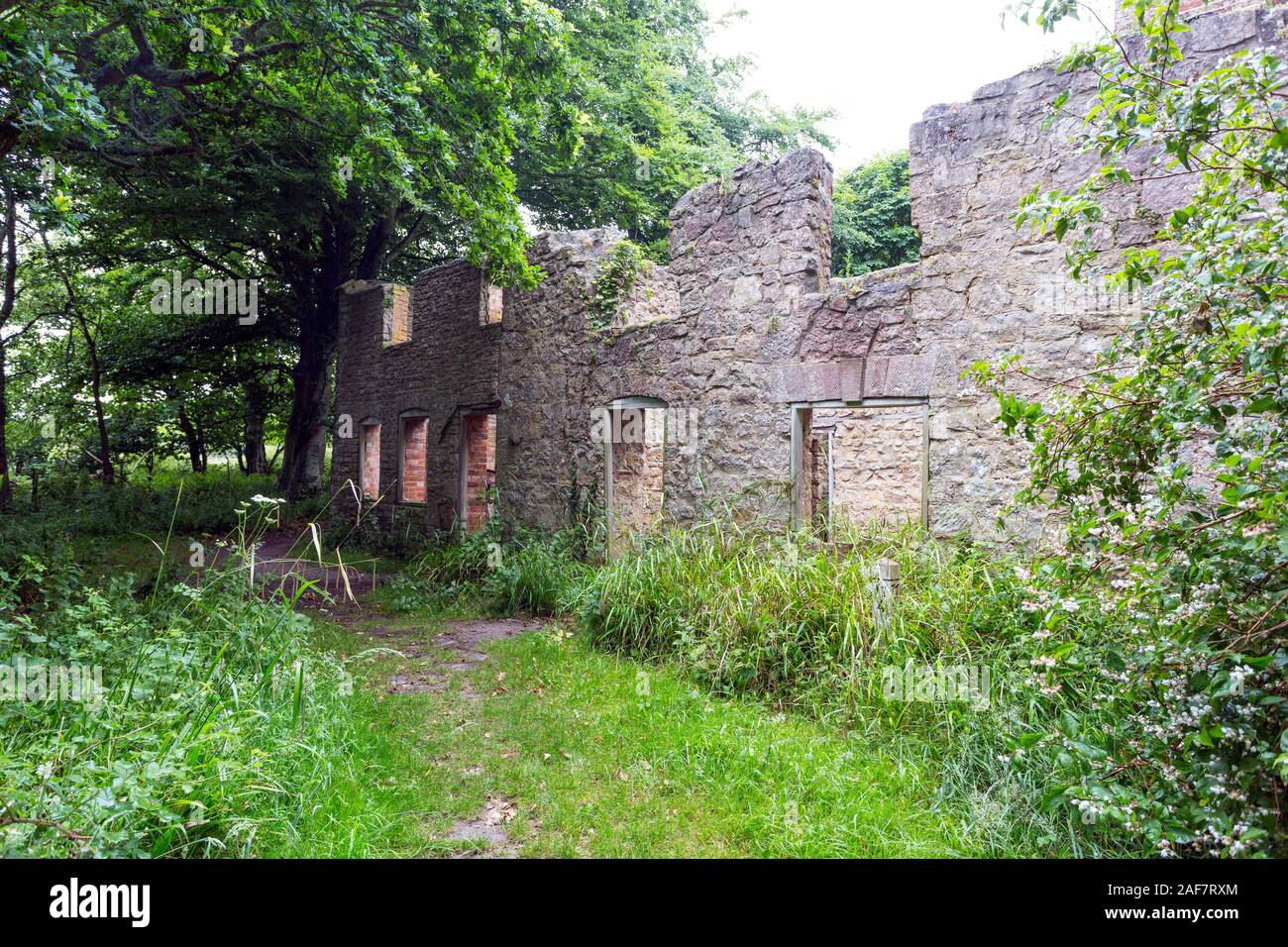 One of the ruined cottages, now roofless and slowly being reclaimed by nature in the abandoned village of Tyneham, Dorset, England, UK Stock Photo