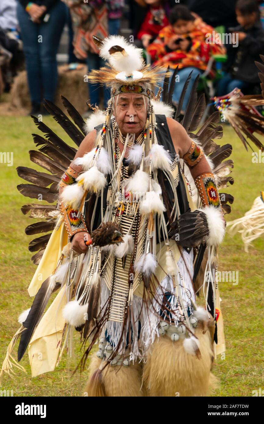 An old man dances wearing a turkey feather headdresses at the Poarch ...