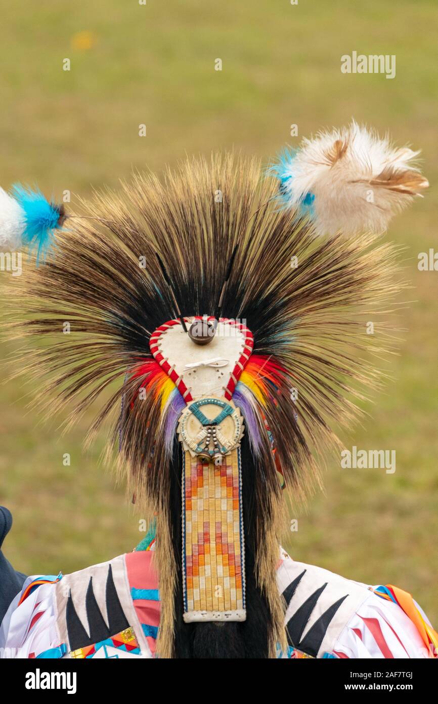 https://c8.alamy.com/comp/2AF7TGJ/a-porcupine-quill-headdress-at-the-poarch-creek-indian-thanksgiving-pow-wow-2AF7TGJ.jpg