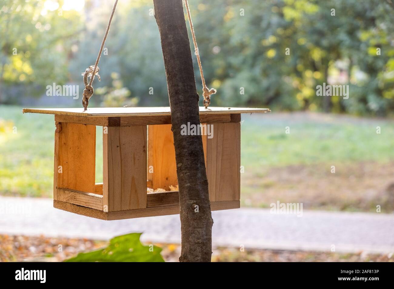 Wooden Bird Feeder House On A Tree In Autumn Park Animal Wildlife