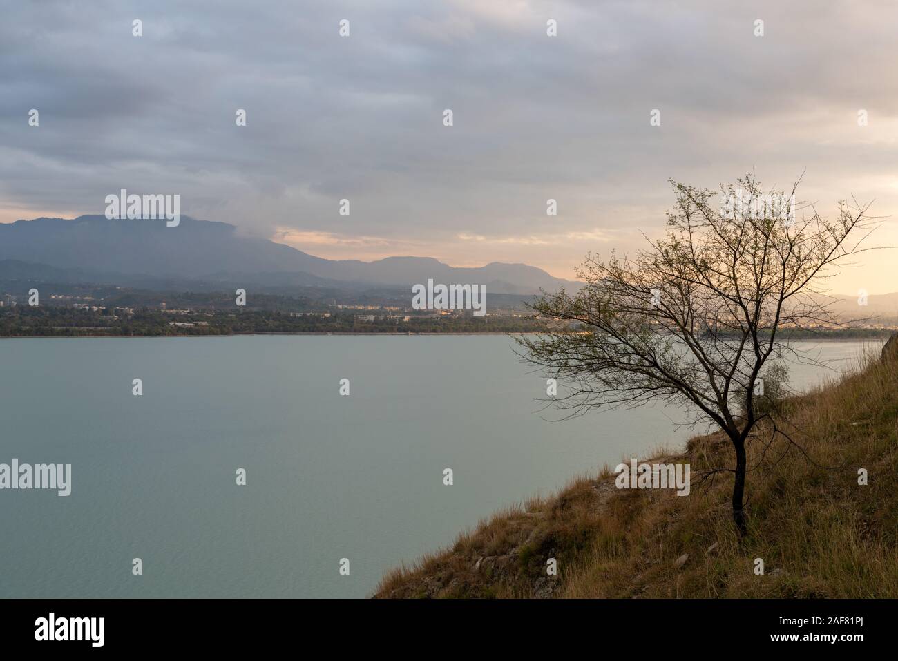 Lonely Tree at Tarbela Lake and Mountain landscape, Tarbela Dam Ghazi, KPK, Pakistan Stock Photo