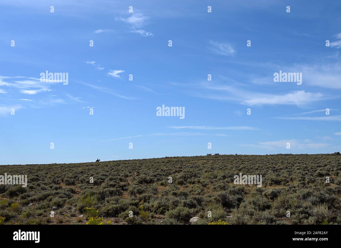 A cowboy on horse near the Wind River Mountains and Pinedale Wyoming. Stock Photo