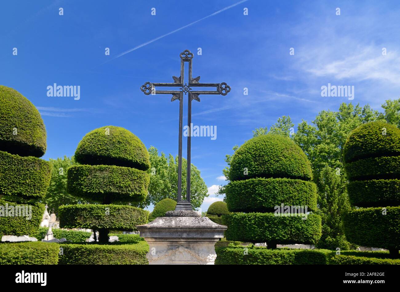 Topiary or Clipped Yew Tree Hedges, Taxus baccata, in Geometric Shapes in Cemetery at Eyguières in the Alpilles Regional Park Provence France Stock Photo