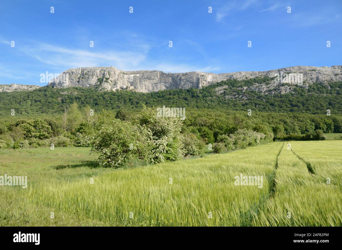 Massif de la sainte baume hires stock photography and images Alamy